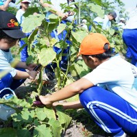 Kegiatan Outdoor Study Kelas 4 ke Agrowisata Tenayan Raya | SD METTA MAITREYA
